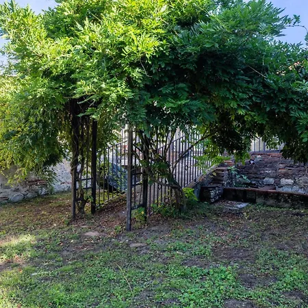 Tranquillite - Maison Climatisee Avec Jardin Ferienhaus Golfech